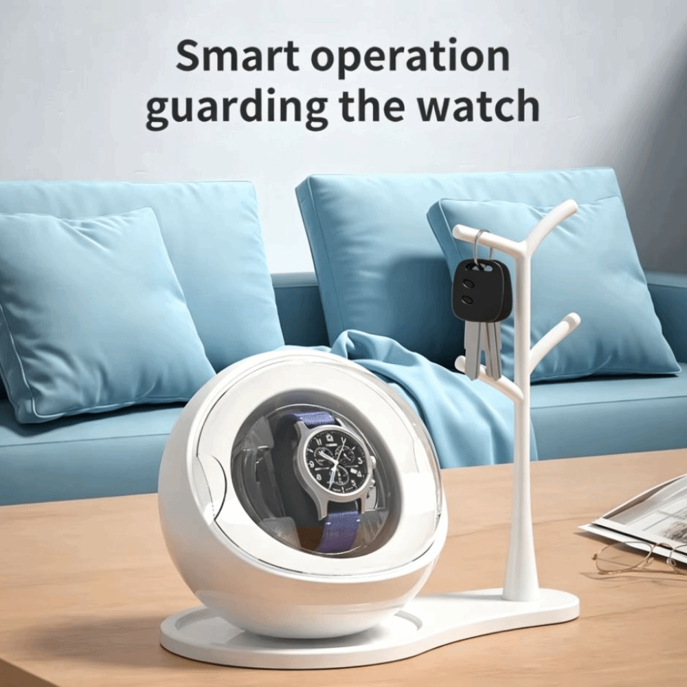 Dual-use for Charging and Plug - Automatic Watch Winder review and price