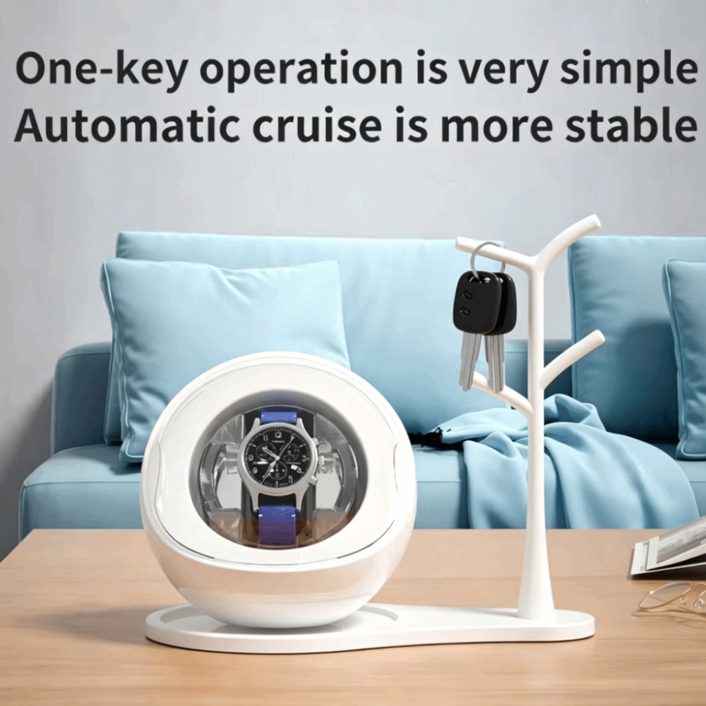 Dual-use for Charging and Plug - Automatic Watch Winder review and price