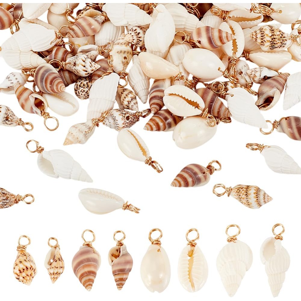 100pcs 4 Styles Natural Shell  - Charm Bracelet Beads review and price