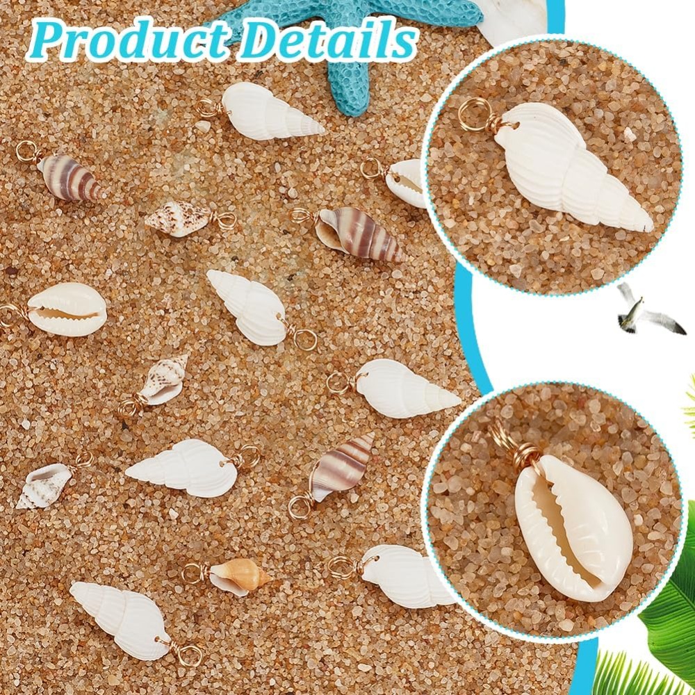 100pcs 4 Styles Natural Shell  - Charm Bracelet Beads review and price